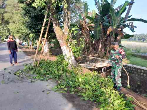 Wujud Kemanunggalan TNI, Babinsa Ngoran Pelopori Gotong Royong Bersihkan Jalan Desa Wujud Kemanunggalan TNI, Babinsa Ngoran Pelopori Gotong Royong Bersihkan Jalan Desa