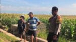 Polisi Turun ke Lahan Jagung di Ketapang, Perkuat Ketahanan Pangan Nasional
