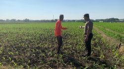 Ketahanan Pangan dan Kamtibmas Berjalan Beriringan, Ini Langkah Bhabinkamtibmas Kademangan Ketahanan Pangan dan Kamtibmas Berjalan Beriringan, Ini Langkah Bhabinkamtibmas Kademangan