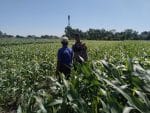 Polisi Turun ke Lahan Jagung di Tongas, Perkuat Program Ketahanan Pangan Nasional