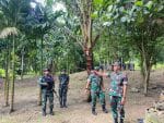 Tinjau Pos Goro Satgas Yonif 410/Alugoro: Kobarkan Semangat, Disiplin, dan Kesiapsiagaan Prajurit