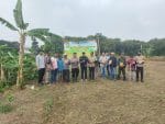 Penanaman Jagung Hibrida Program 1 Desa 2 Hektare 2026 di Desa Cibadak, Polri Dorong Ketahanan Pangan Nasional