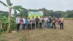 Penanaman Jagung Hibrida Program 1 Desa 2 Hektare 2026 di Desa Cibadak, Polri Dorong Ketahanan Pangan Nasional
