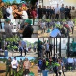 Perkuat Potensi Perkebunan Papua Barat, Wapres Tanam Bibit Kakao di Manokwari Selatan