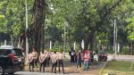 Demonstrasi Mahasiswa Paniai di Kemendagri Berlangsung Bertahap, Ini Tuntutan Mereka