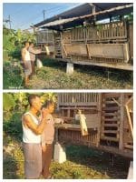 Bhabinkamtibmas Bangil Pantau Budidaya Ternak Kambing di Latek, Dukung Program P2B Asta Cita