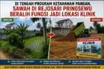 Geger! Sawah Produktif Ditimbun, Aparatur Pekon Rejosari Mengaku Tak Tahu Ada Rencana Pembangunan Klinik