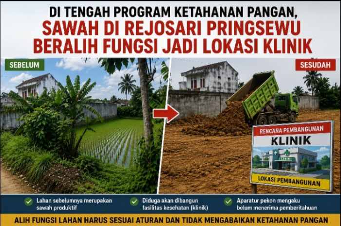 Geger! Sawah Produktif Ditimbun, Aparatur Pekon Rejosari Mengaku Tak Tahu Ada Rencana Pembangunan Klinik