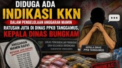 Diduga Ada Indikasi KKN dalam Pengelolaan Anggaran Mamin Ratusan Juta di Dinas PPKB Tanggamus, Kepala Dinas Bungkam