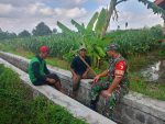Serap Aspirasi Petani, Sertu Yudhi Rimba Gelar Komsos Ketahanan Pangan Bersama Poktan Kembang Kuning