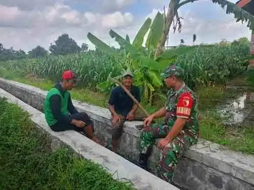 Serap Aspirasi Petani, Sertu Yudhi Rimba Gelar Komsos Ketahanan Pangan Bersama Poktan Kembang Kuning