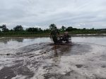 Perrcepat Masa Tanam, Babinsa Sumberingin Kopda Nizar Dampingi Petani Membajak Sawah