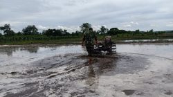 Perrcepat Masa Tanam, Babinsa Sumberingin Kopda Nizar Dampingi Petani Membajak Sawah Perrcepat Masa Tanam, Babinsa Sumberingin Kopda Nizar Dampingi Petani Membajak Sawah