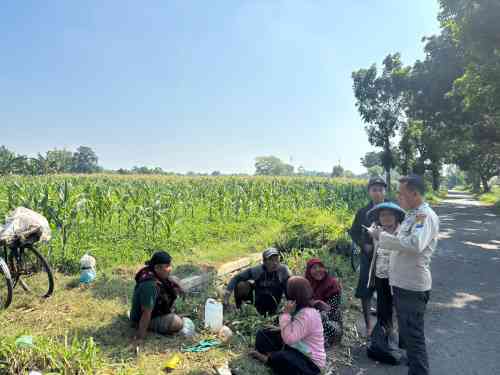 Polsek Wonoasih Perkuat Ketahanan Pangan Lewat Dialog dengan Petani Jagung