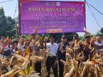 Wakapolsek Cikupa Hadiri Panen Jagung Kuartal II Program 1 Desa 2 Hektare, Dukung Ketahanan Pangan Nasional