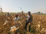 Polsek Wonoasih Ajak Petani Jaga Produktivitas dan Keamanan Demi Ketahanan Pangan
