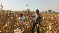 Polsek Wonoasih Ajak Petani Jaga Produktivitas dan Keamanan Demi Ketahanan Pangan Polsek Wonoasih Ajak Petani Jaga Produktivitas dan Keamanan Demi Ketahanan Pangan