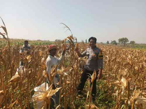 Polsek Wonoasih Ajak Petani Jaga Produktivitas dan Keamanan Demi Ketahanan Pangan Polsek Wonoasih Ajak Petani Jaga Produktivitas dan Keamanan Demi Ketahanan Pangan