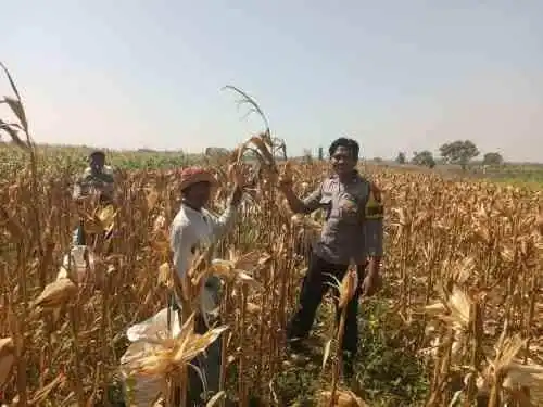 Polsek Wonoasih Ajak Petani Jaga Produktivitas dan Keamanan Demi Ketahanan Pangan