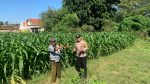 Ketahanan Pangan Jadi Fokus, Polsek Kademangan Intensif Sambangi Lahan Pertanian