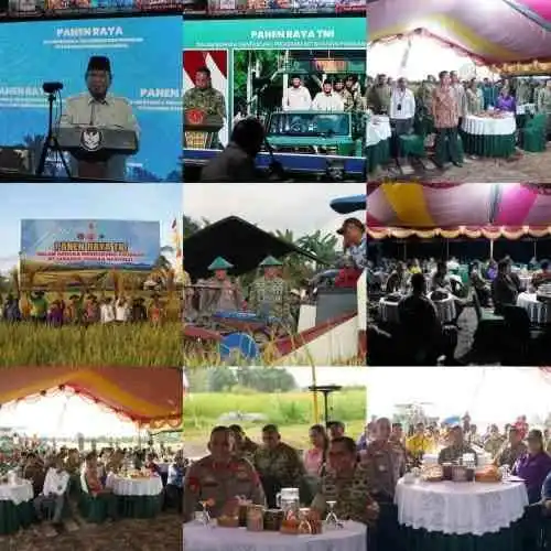 Panen Raya TNI di Papua Barat, Pangdam XVIII/Kasuari Tegaskan Komitmen Wujudkan Ketahanan Pangan Nasional