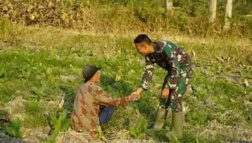 Menyapa dengan Hati di Tengah Ladang: Satgas TMMD 129 Bojonegoro Rajut Kemanunggalan TNI dan Rakyat