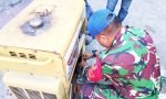 Aksi Cepat Satgas TMMD 129 Bojonegoro: Ketika ‘Mesin Penggerak’ Tak Boleh Padam di Kesongo