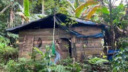 Satresnarkoba Polresta Sorong Kota Ungkap Tempat Produksi Miras Lokal Jenis Cap Tikus, 166 Liter Barang Bukti Diamankan