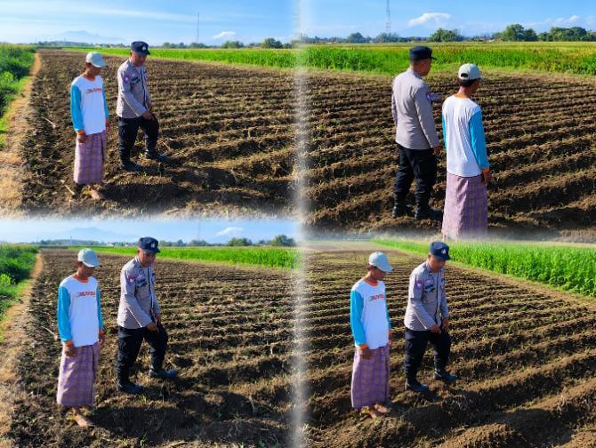 Bhabinkamtibmas Kedopok Sambangi Petani Jagung, Pastikan Program Ketahanan Pangan Berjalan