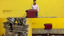Polresta Sorong Kota Ungkap Kasus Peredaran Ganja, Kurir Diamankan dengan Barang Bukti 5,4 Kilogram