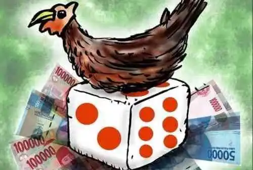 Sudah Jadi Perbincangan Warga, Dugaan Sabung Ayam di Bedali Masih Menunggu Tindakan