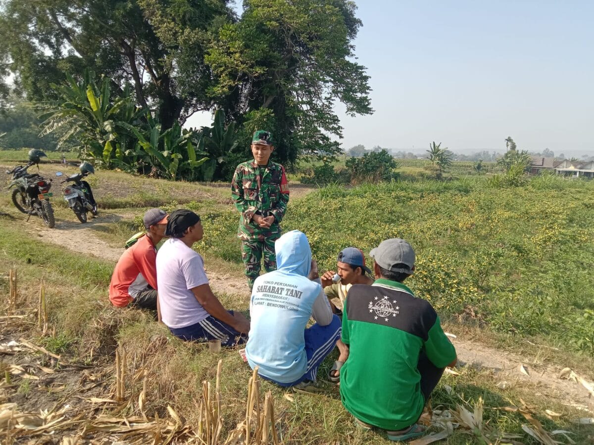 Perkuat Swasembada Pangan, Serda Fiyan Setyadi Gelar Komsos Bersama Poktan Sumber Makmur