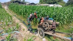 Sinergi TNI Dan Petani Babinsa Purwokerto Pastikan Pasokan Air Lahan Jagung Dusun Tumpuk Optimal