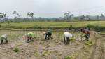 Dukung Ketahanan Pangan, Serka Abdul Salam Turun ke Sawah Bantu Petani Tanam Padi Di Ngadirenggo