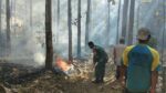 Tanggap Pancaroba, Babinsa Koramil Sutojayan Bersama Warga Padamkan Karhutla Di Gunung Sumber
