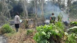 Aksi Cepat Babinsa Posramil Selopuro Bersama Warga Padamkan Kebakaran Lahan Bambu Di Blitar