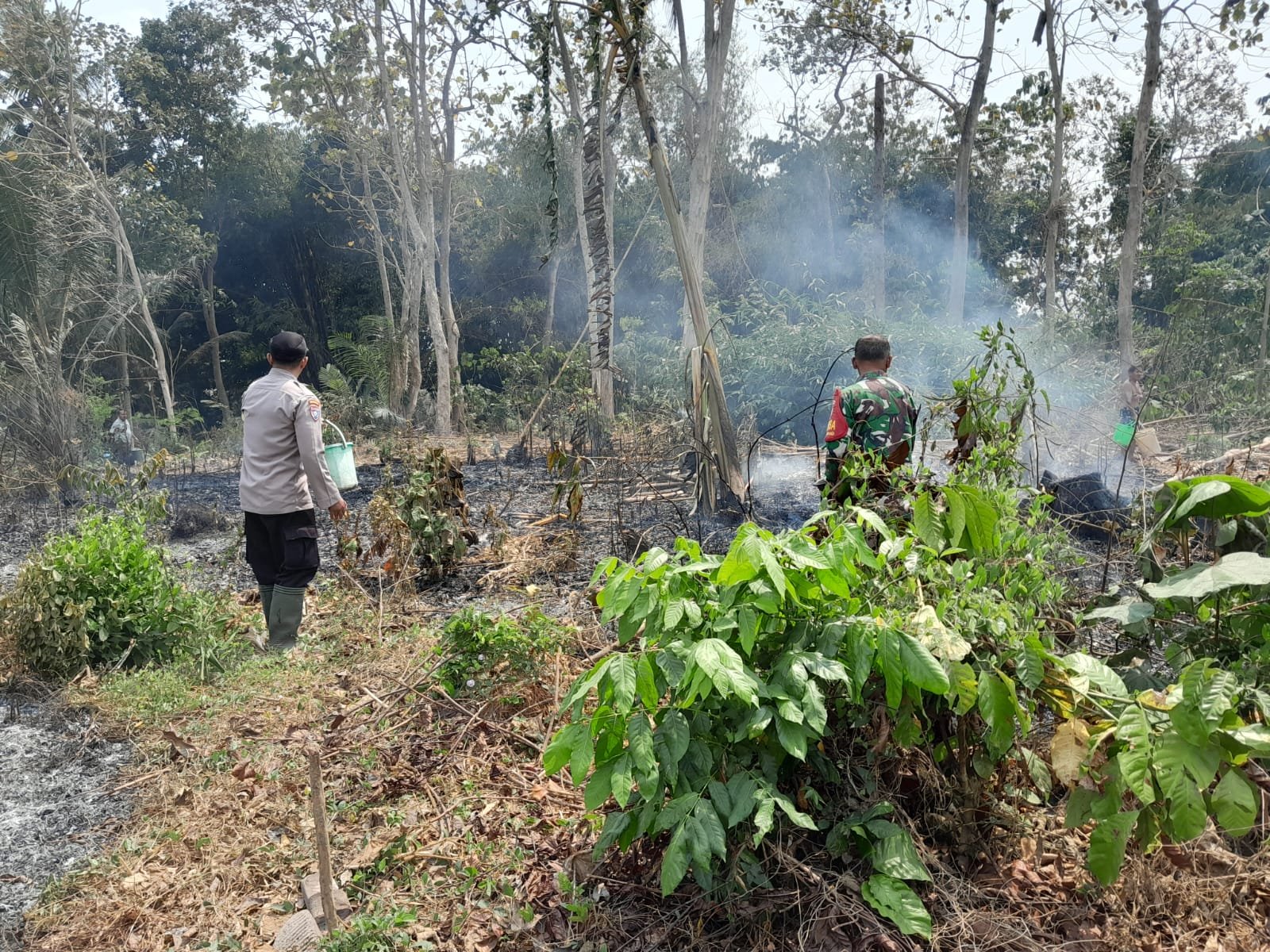 Aksi Cepat Babinsa Posramil Selopuro Bersama Warga Padamkan Kebakaran Lahan Bambu Di Blitar