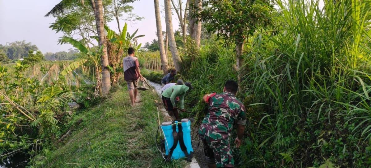 Dukung Ketahanan Pangan, Serda Nurhatib Dampingi Poktan Margo Rukun III Bersihkan Irigasi Sawah Dukung Ketahanan Pangan, Serda Nurhatib Dampingi Poktan Margo Rukun III Bersihkan Irigasi Sawah