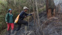 Total Penutupan Jalur Pendakian Gunung Semeru Pasca Kebakaran
