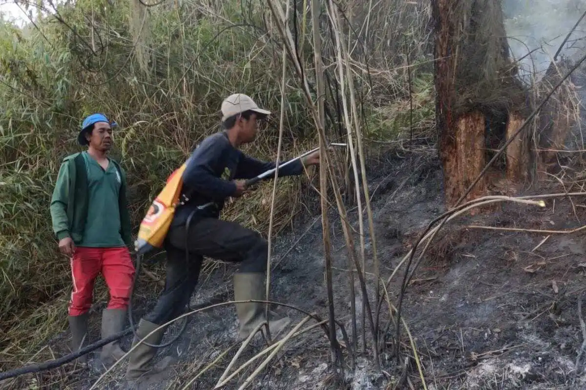 Total Penutupan Jalur Pendakian Gunung Semeru Pasca Kebakaran