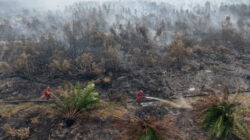 Upaya Manggala Agni Mengatasi Kebakaran Hutan di Ogan Komering Ilir