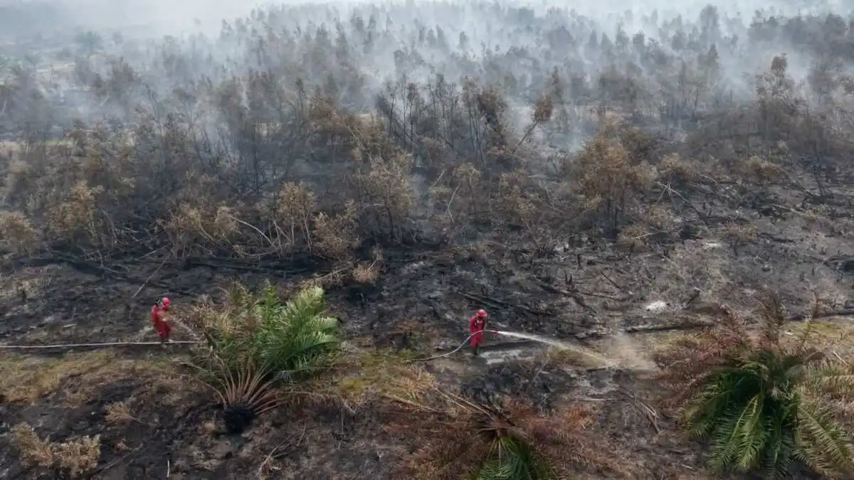 Upaya Manggala Agni Mengatasi Kebakaran Hutan di Ogan Komering Ilir
