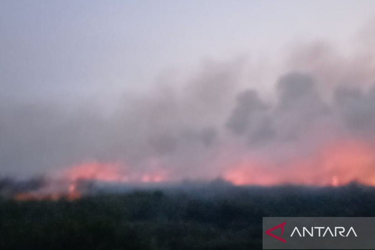 Kebakaran terjadi di dalam kawasan dan area penggunaan lain (APL)