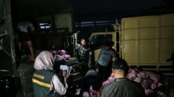 Penemuan Bawang Impor Ilegal di Natuna: Tindakan Bersama BKHIT dan TNI AL