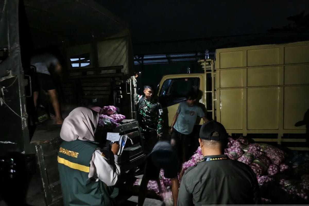 Penemuan Bawang Impor Ilegal di Natuna: Tindakan Bersama BKHIT dan TNI AL