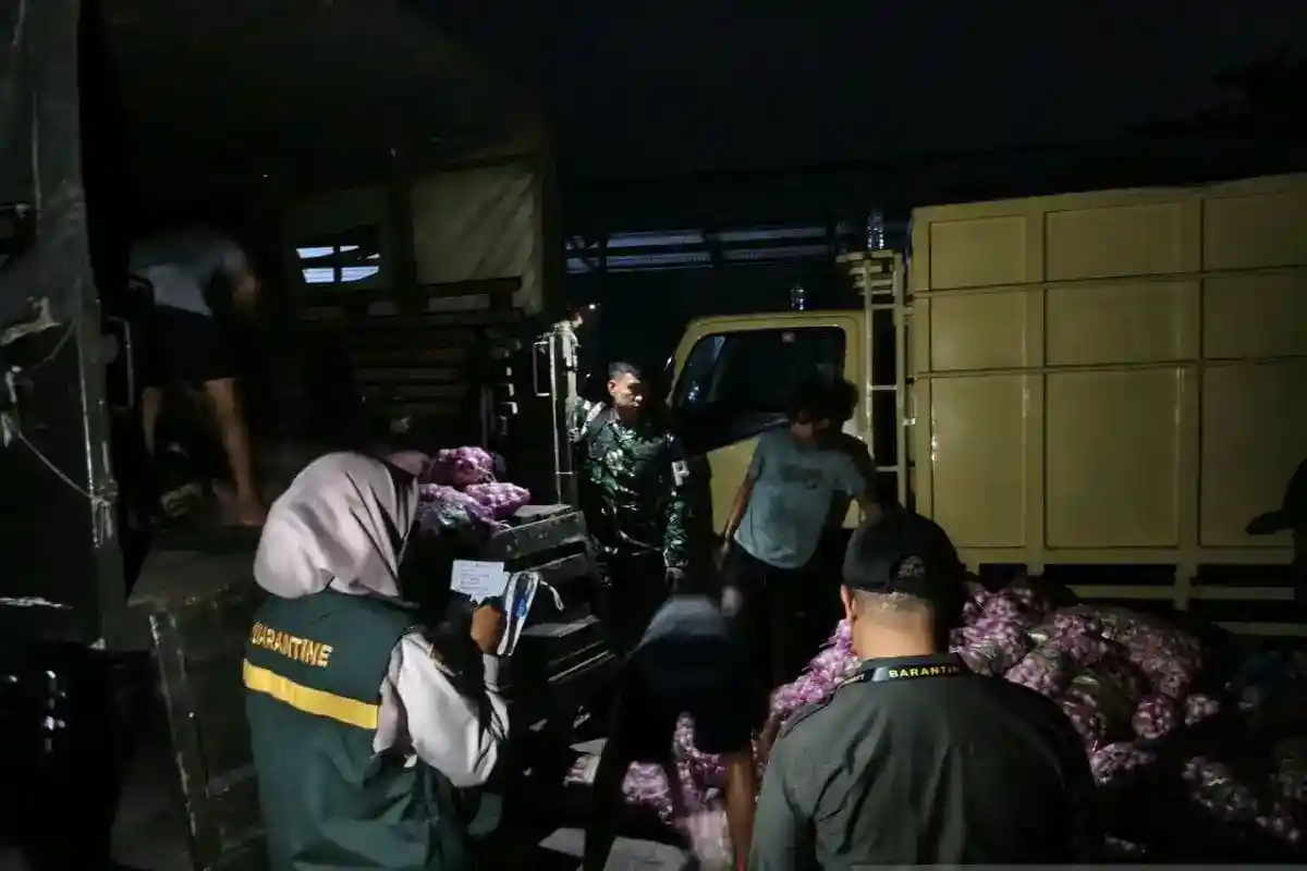 Penemuan Bawang Impor Ilegal di Natuna: Tindakan Bersama BKHIT dan TNI AL