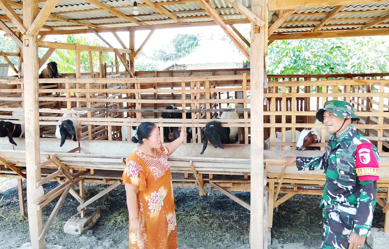 TMMD 129 Bojonegoro: Babinsa Kesongo 'Sentuh Hati' Peternak Kambing