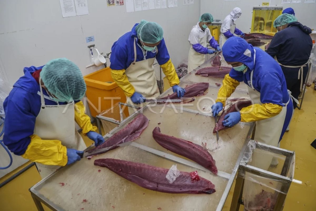 Pengembangan Kompetensi Pekerja Pengolahan Ikan Tuna di Indonesia