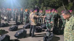 TNI Kerahkan Satgas Khusus Percepat Penanganan Karhutla di Riau