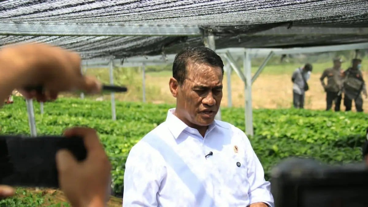 Investasi Pemerintah untuk Sektor Pertanian di Lampung Investasi Pemerintah untuk Sektor Pertanian di Lampung